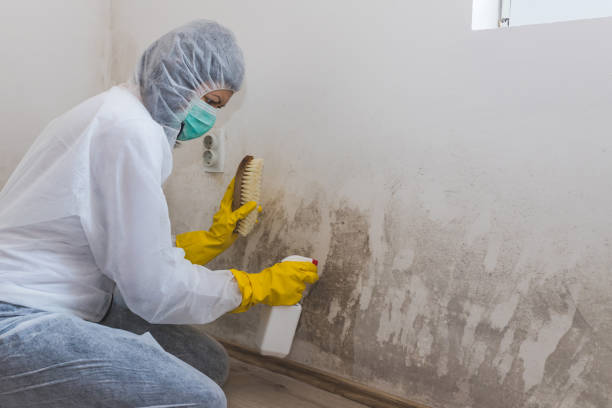 Best Residential Mold Removal  in Kiryas Joel, NY