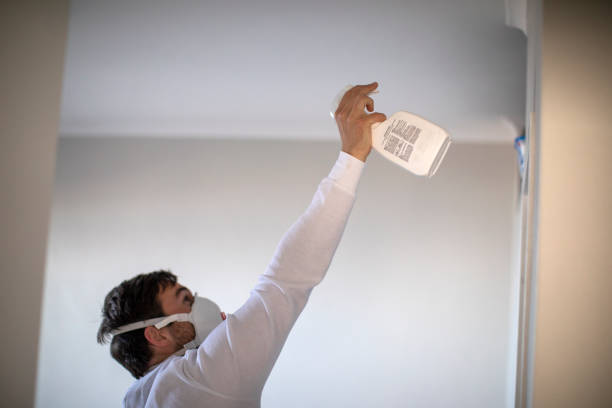 Office Mold Removal Services in Kiryas Joel, NY