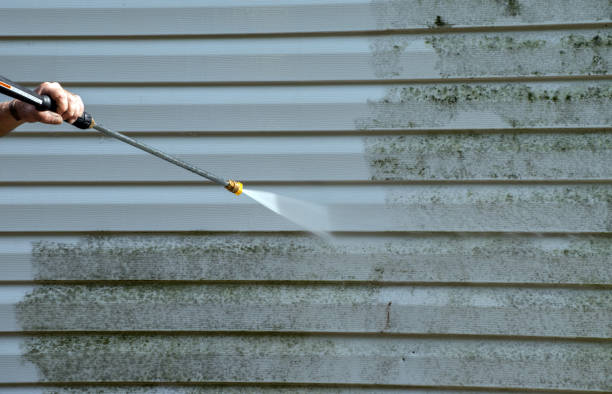 Best Home Mold Removal  in Kiryas Joel, NY