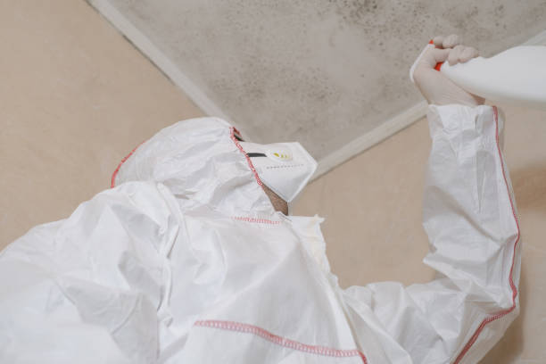 Best Office Mold Removal Services  in Kiryas Joel, NY